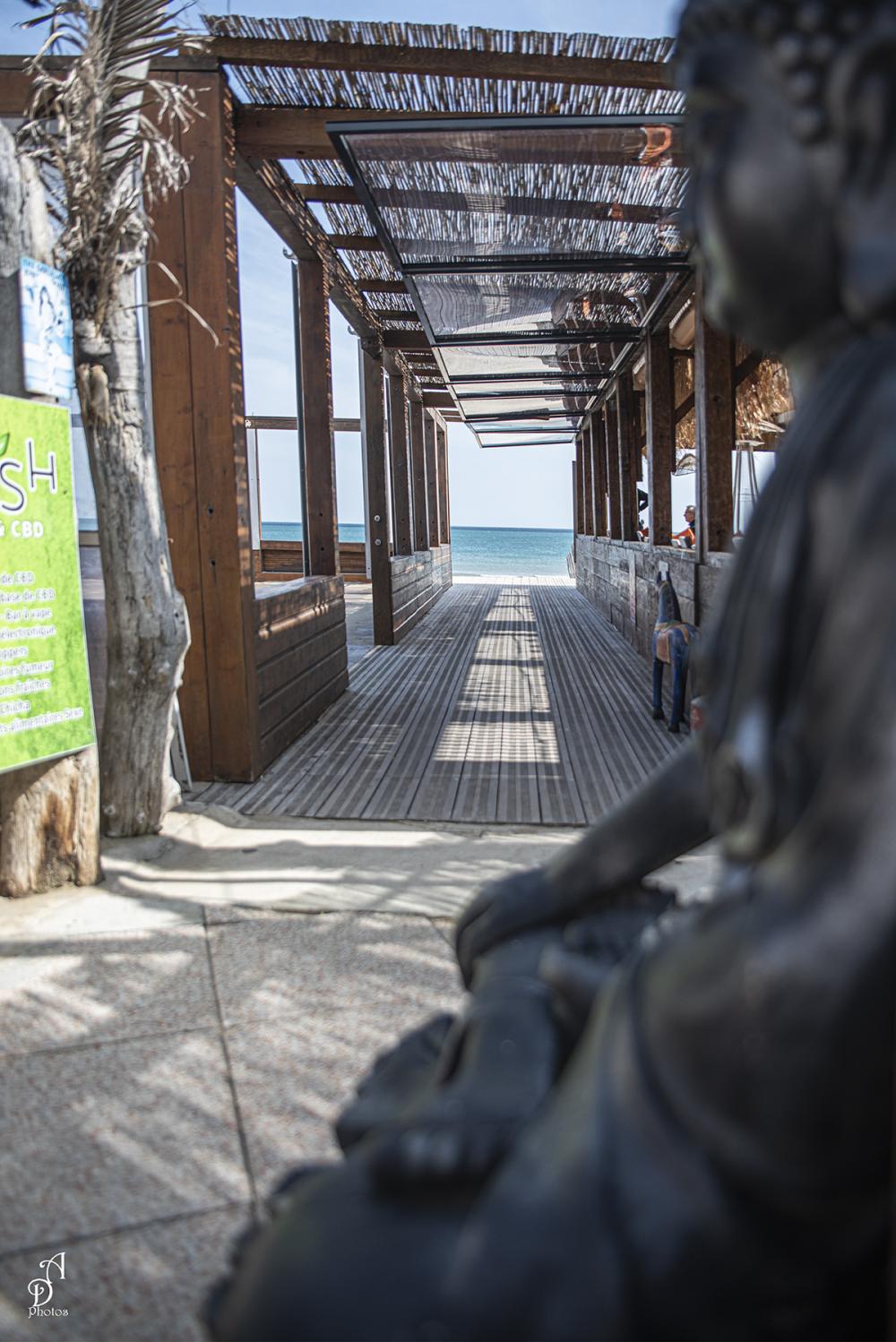 Photo de LA BOHEMIA TAPAS